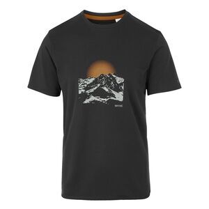 Regatta Mens Fingal Hiker Stretch T-Shirt / Ash